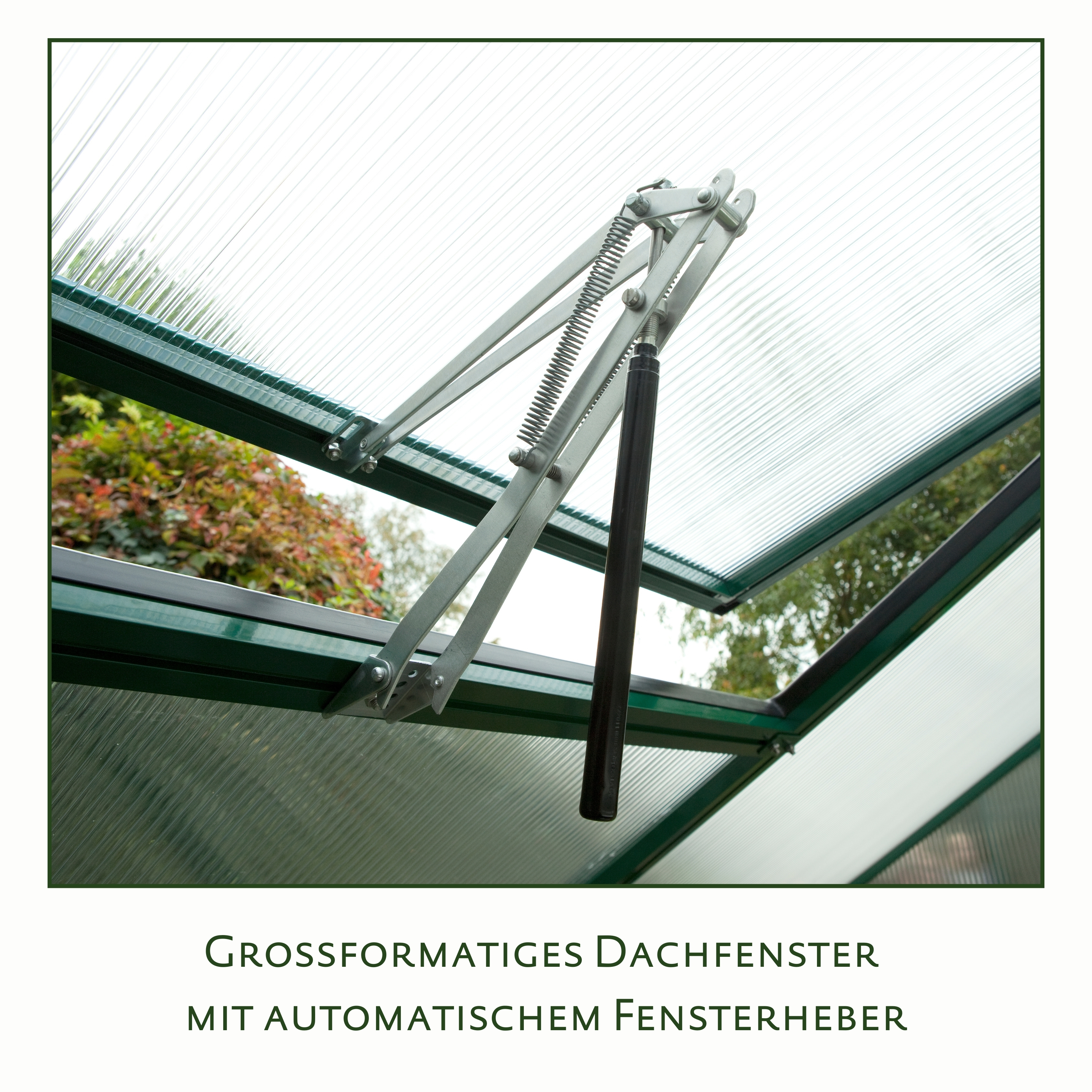 Gewächshaus Rose III - moosgrün Gewächshaus Rose III - moosgrün