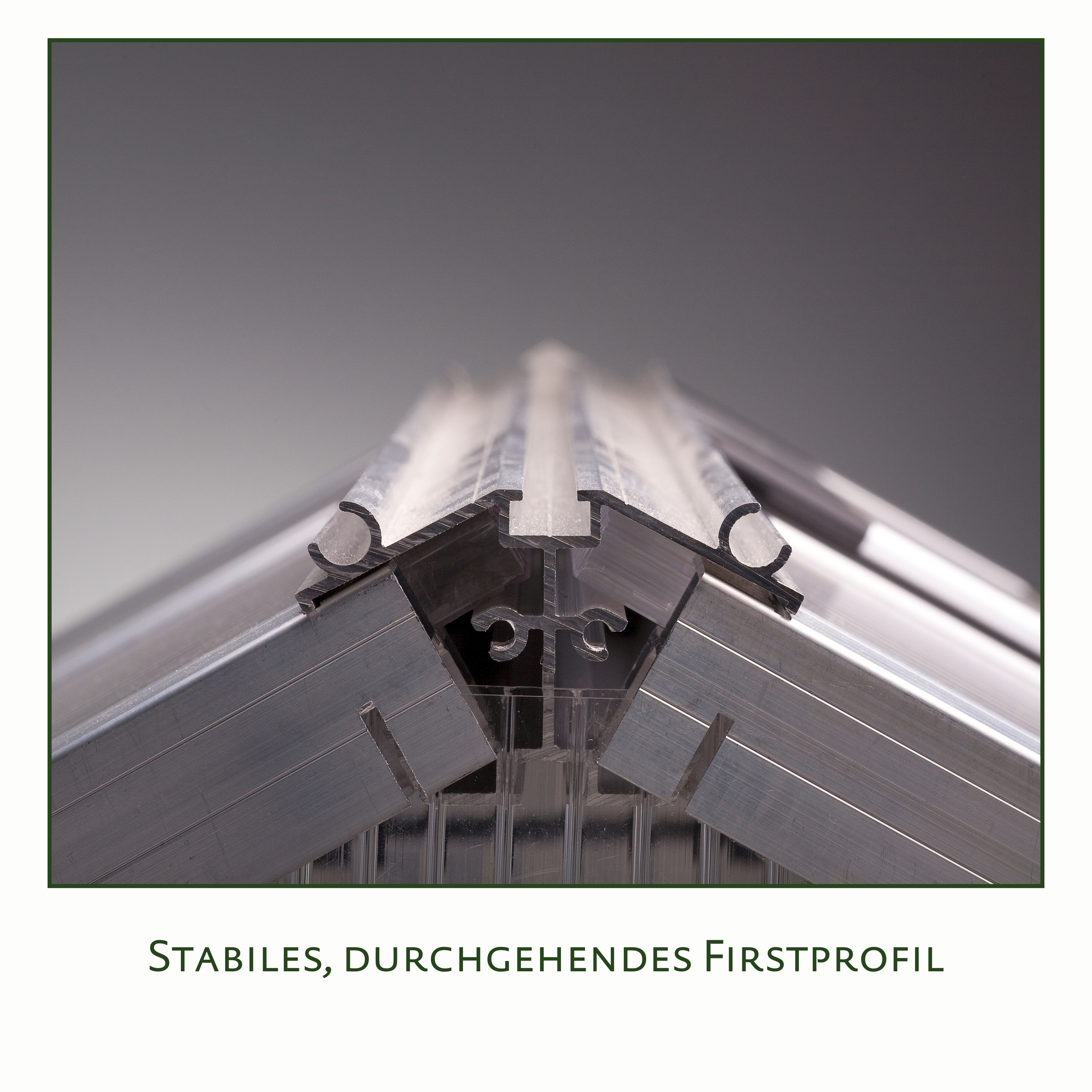 Gewächshaus Rose III - pressblank Gewächshaus Rose III - pressblank